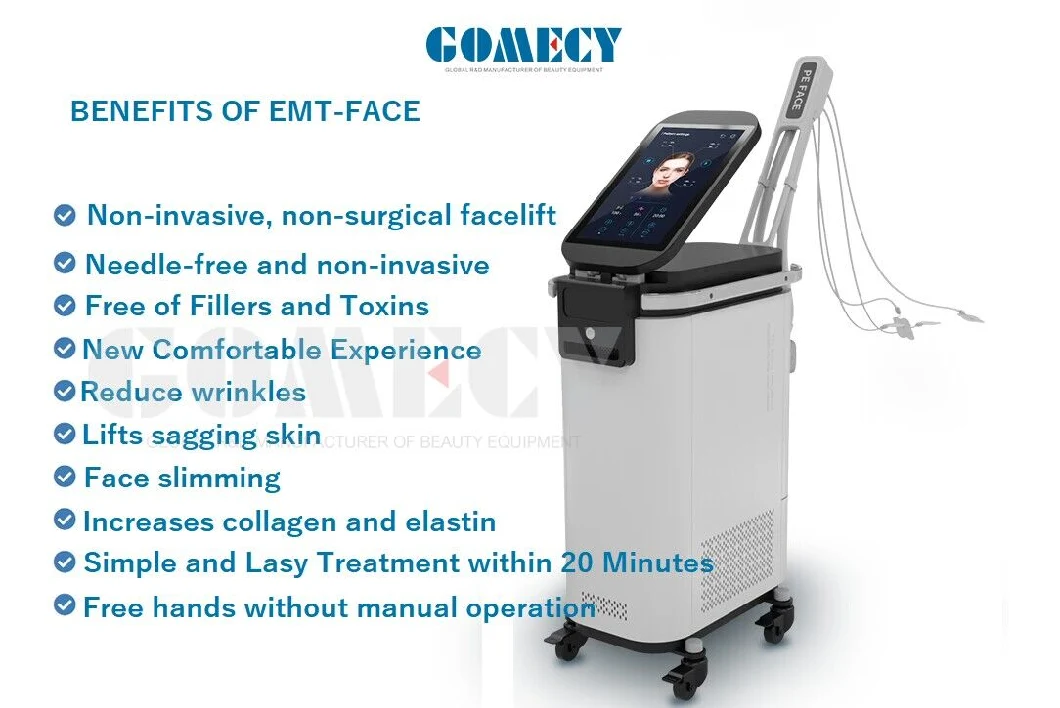 RF Face Muscle Lifting V Line Wrinkle/ Fine Line Removal Hi-EMT Em Face Double Chin Skin Tightening Beauty Device