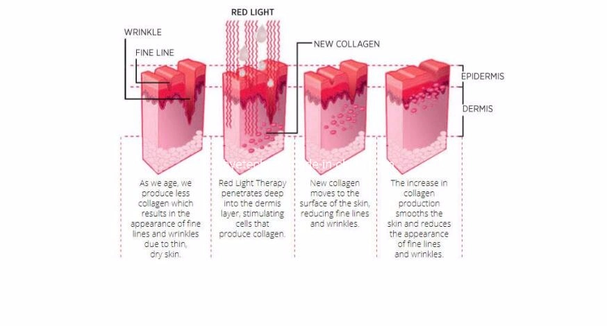 Skin Treatment Bio LED Face PDT 7 Color LED PDT Bio-Light Therapy / PDT LED Light Therapy Machine