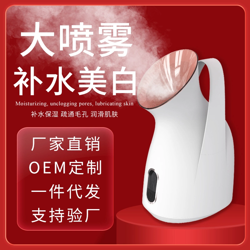 One Button Start Portable Home Use Face SPA Instrument Nano Mist Face Sprayer